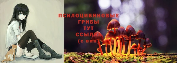 не бодяженный Балахна