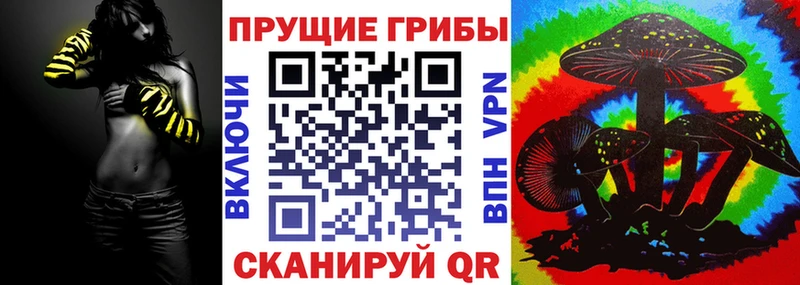 Псилоцибиновые грибы Psilocybe купить наркотик Новый Оскол