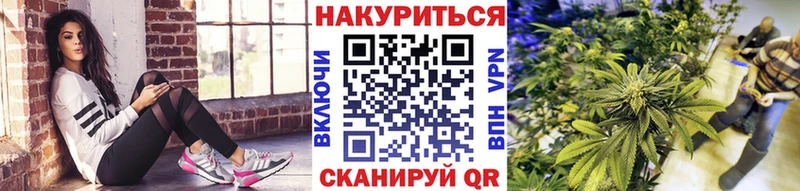 Шишки марихуана VHQ как найти наркотики гидра tor сайты даркнета состав Новый Оскол